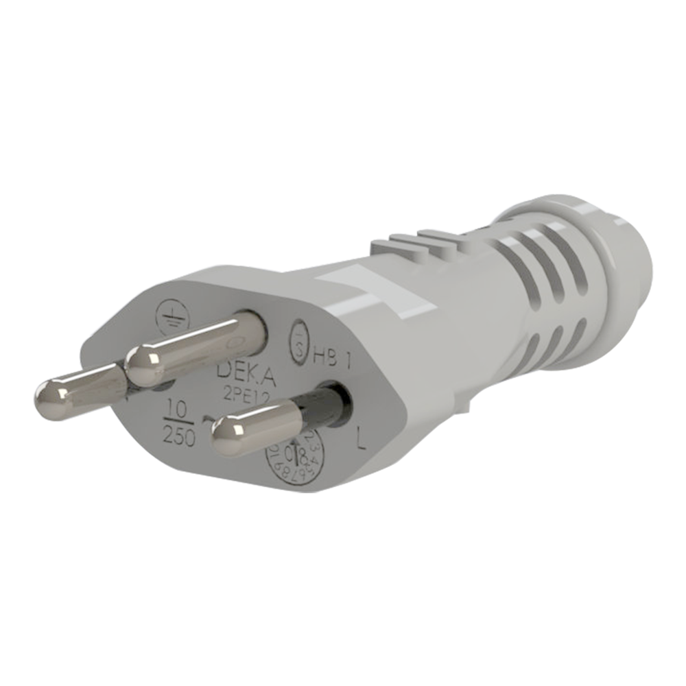 2PE12 10 A Swiss Plug